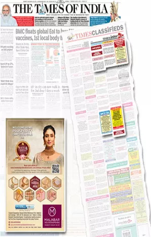 Dainik Sunshine tearsheet proof